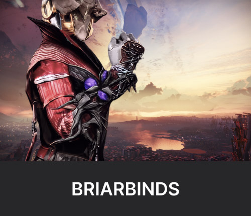 Briarbinds Boost | Warlock Exotic