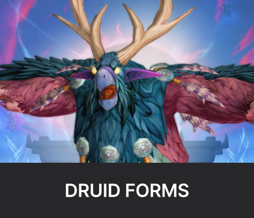 WoW Dragonflight Druid Forms