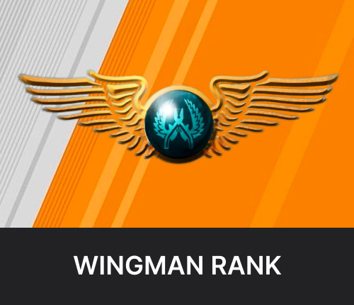 CS2 Wingman Rank