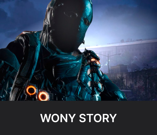 Wony Story