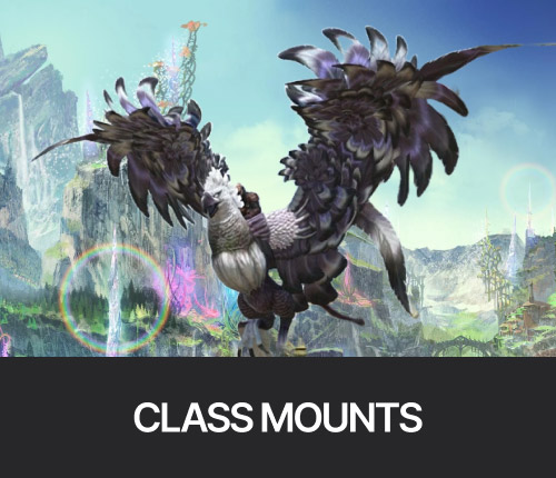 Class Mounts