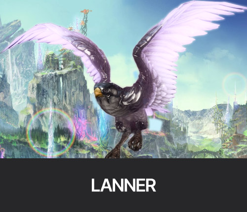 Lanner Mount