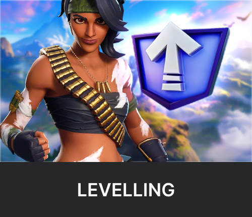 Fortnite Power Levelling