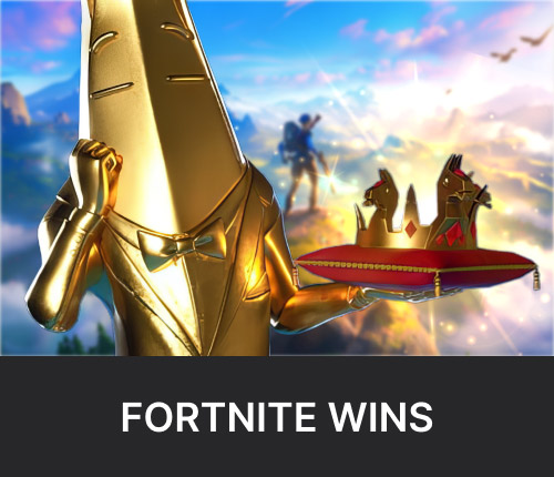 Fortnite Wins