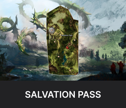 Salvation Pass Raid