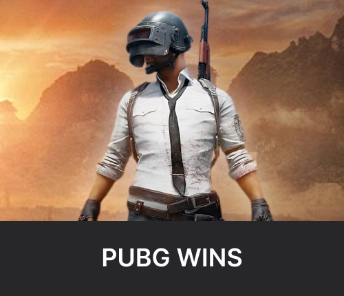 PUBG Wins