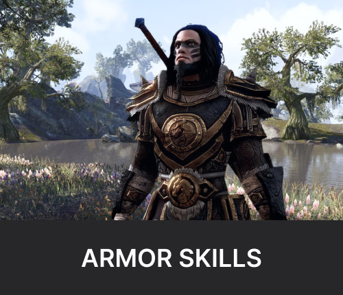 TESO Armor Skills Leveling