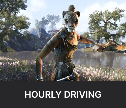 TESO Hourly Driving