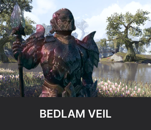 TESO Bedlam Veil Dungeon