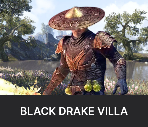 TESO Black Drake Villa Dungeon