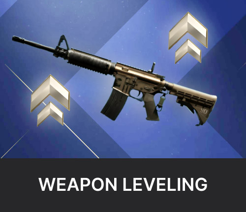 Weapon Leveling