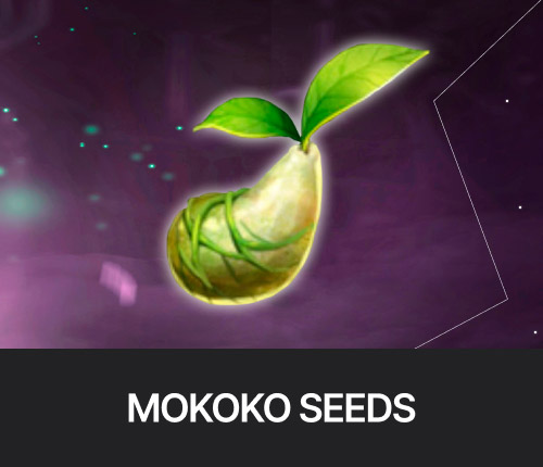 Mokoko Seeds Farm