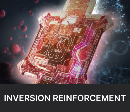 Inversion Reinforcement