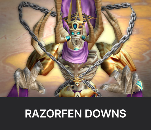 Razorfen Downs Dungeon