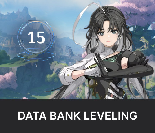 Data Bank Leveling