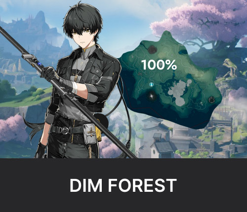 Dim Forest Exploration