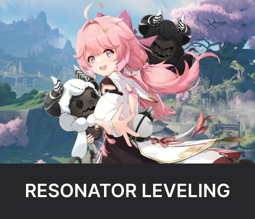 Resonator Leveling