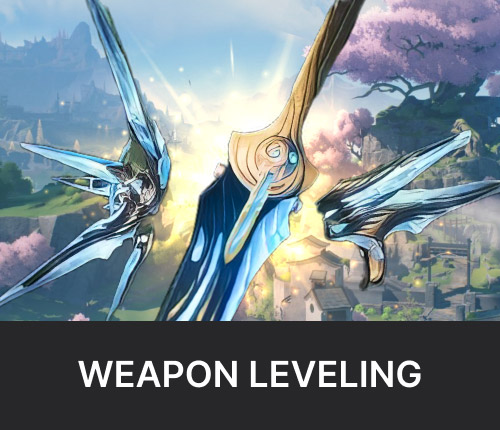 Weapon Leveling